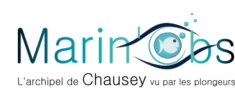 logo_marinobs